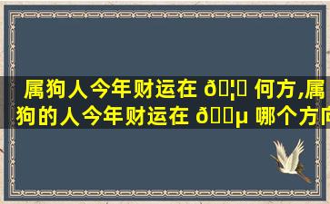 属狗人今年财运在 🦆 何方,属狗的人今年财运在 🌵 哪个方向